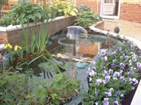 water feature